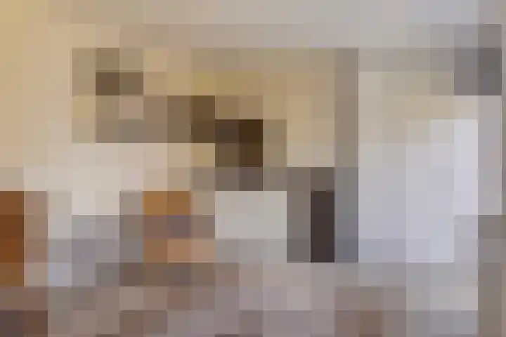 Waterschap 69 Oss thumbnail 9