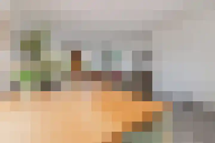 Waterschaplaan 1 Zwaanshoek thumbnail 10