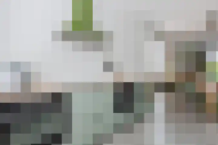 Waterschaplaan 1 Zwaanshoek thumbnail 13