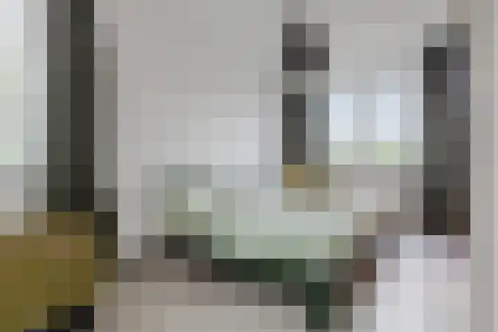 Waterschaplaan 1 Zwaanshoek thumbnail 15