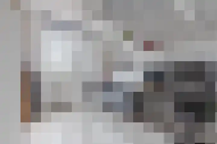 Waterschaplaan 1 Zwaanshoek thumbnail 17