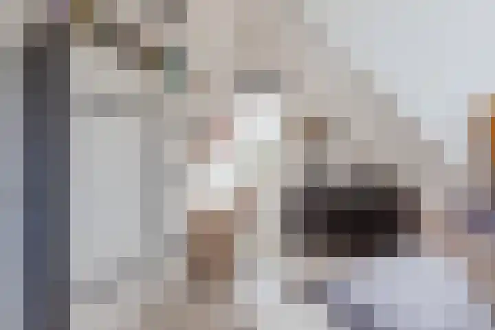 Waterschaplaan 1 Zwaanshoek thumbnail 28