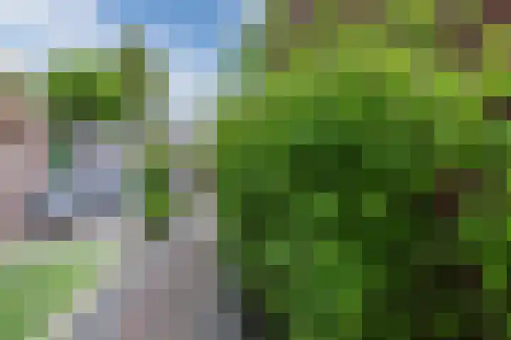 Waterschaplaan 1 Zwaanshoek thumbnail 33