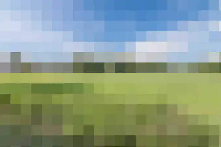 Waterschaplaan 1 Zwaanshoek thumbnail 40