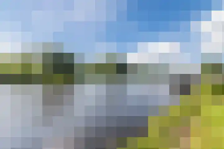 Waterschaplaan 1 Zwaanshoek thumbnail 41