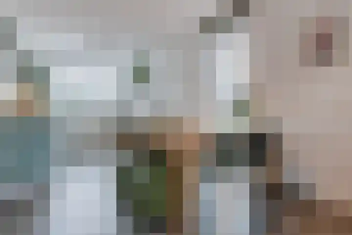Waterschaplaan 1 Zwaanshoek thumbnail 6