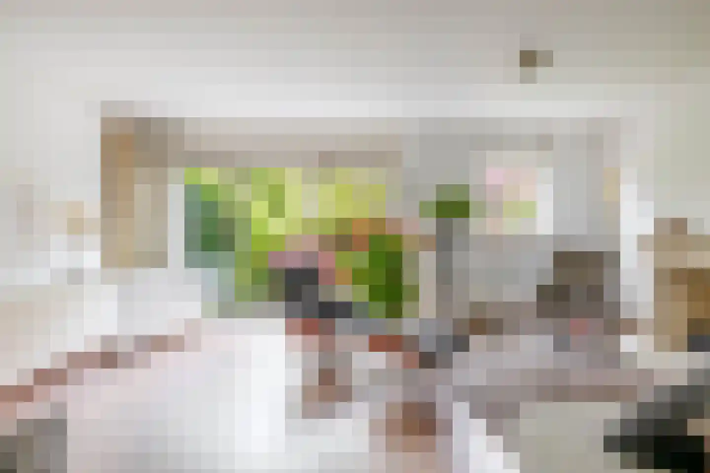 Waterschapsweg 15 Nieuwerkerk aan den IJssel thumbnail 14