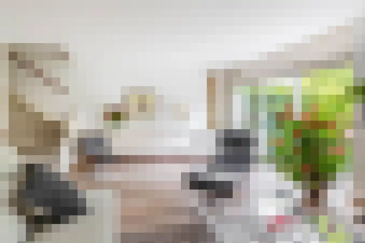 Waterschapsweg 15 Nieuwerkerk aan den IJssel thumbnail 17