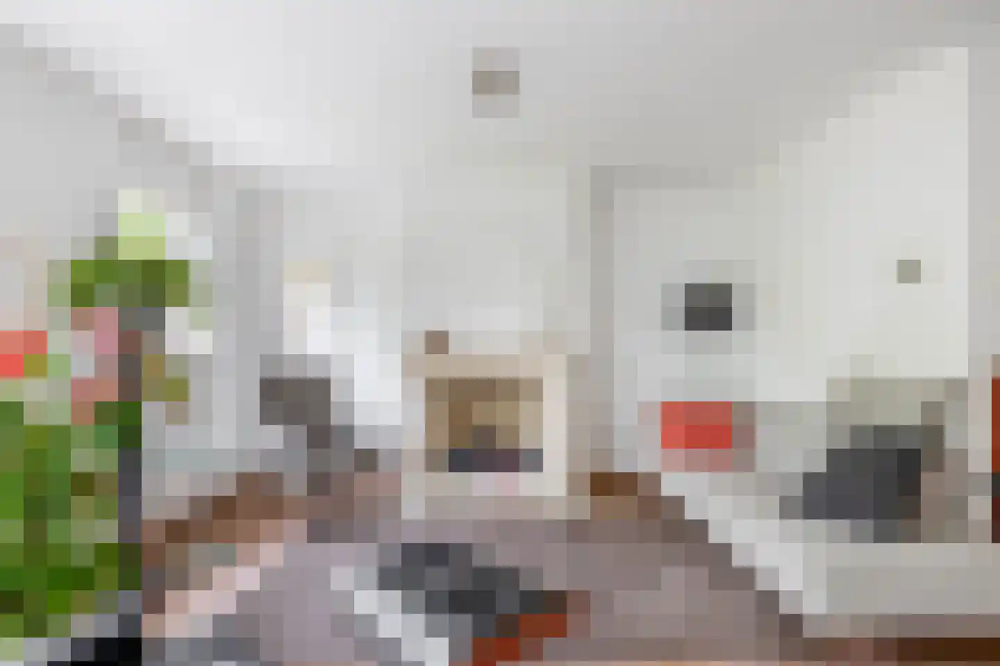 Waterschapsweg 15 Nieuwerkerk aan den IJssel thumbnail 19