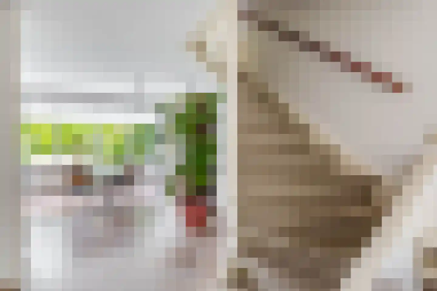 Waterschapsweg 15 Nieuwerkerk aan den IJssel thumbnail 20