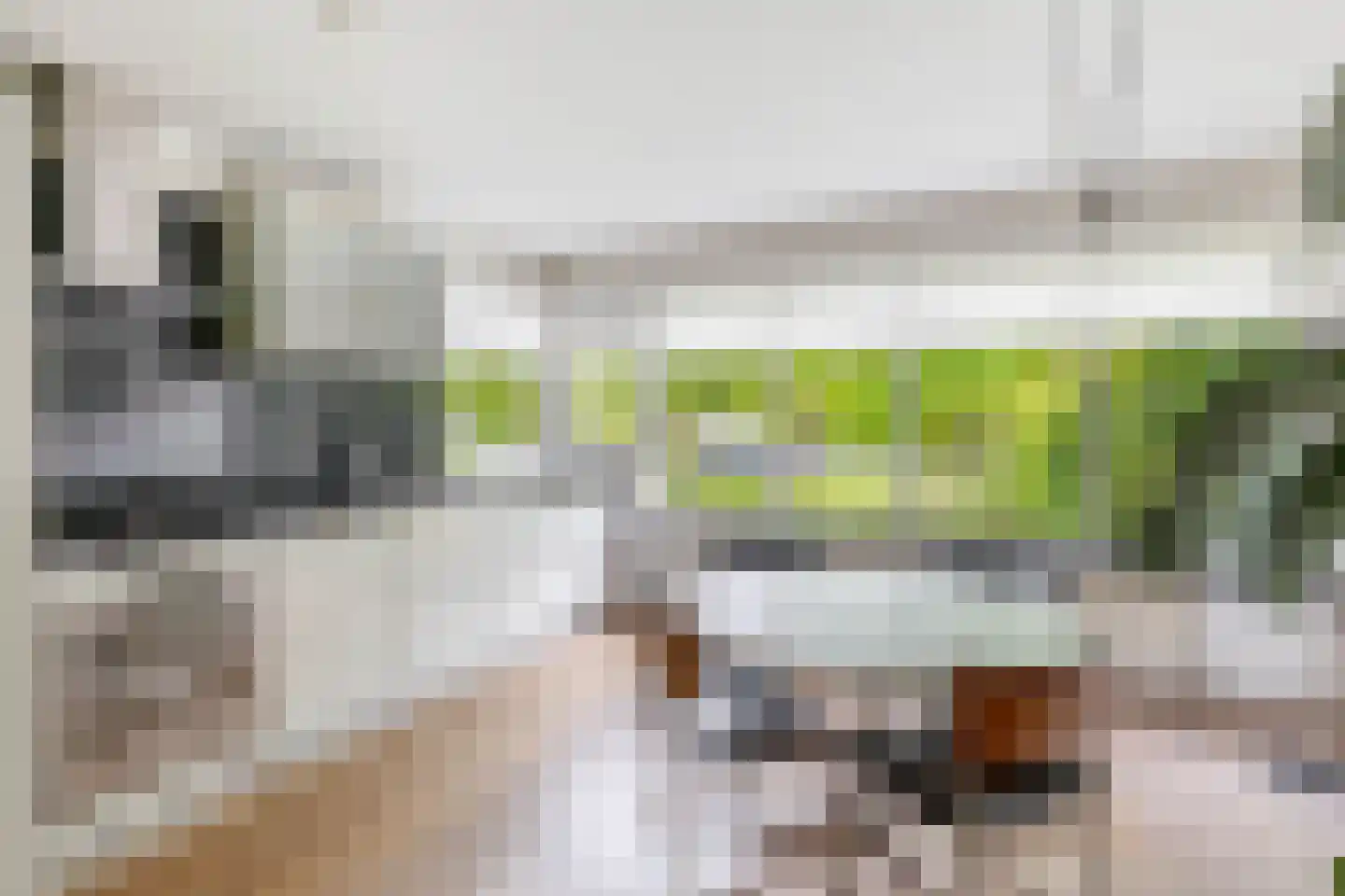 Waterschapsweg 15 Nieuwerkerk aan den IJssel thumbnail 21