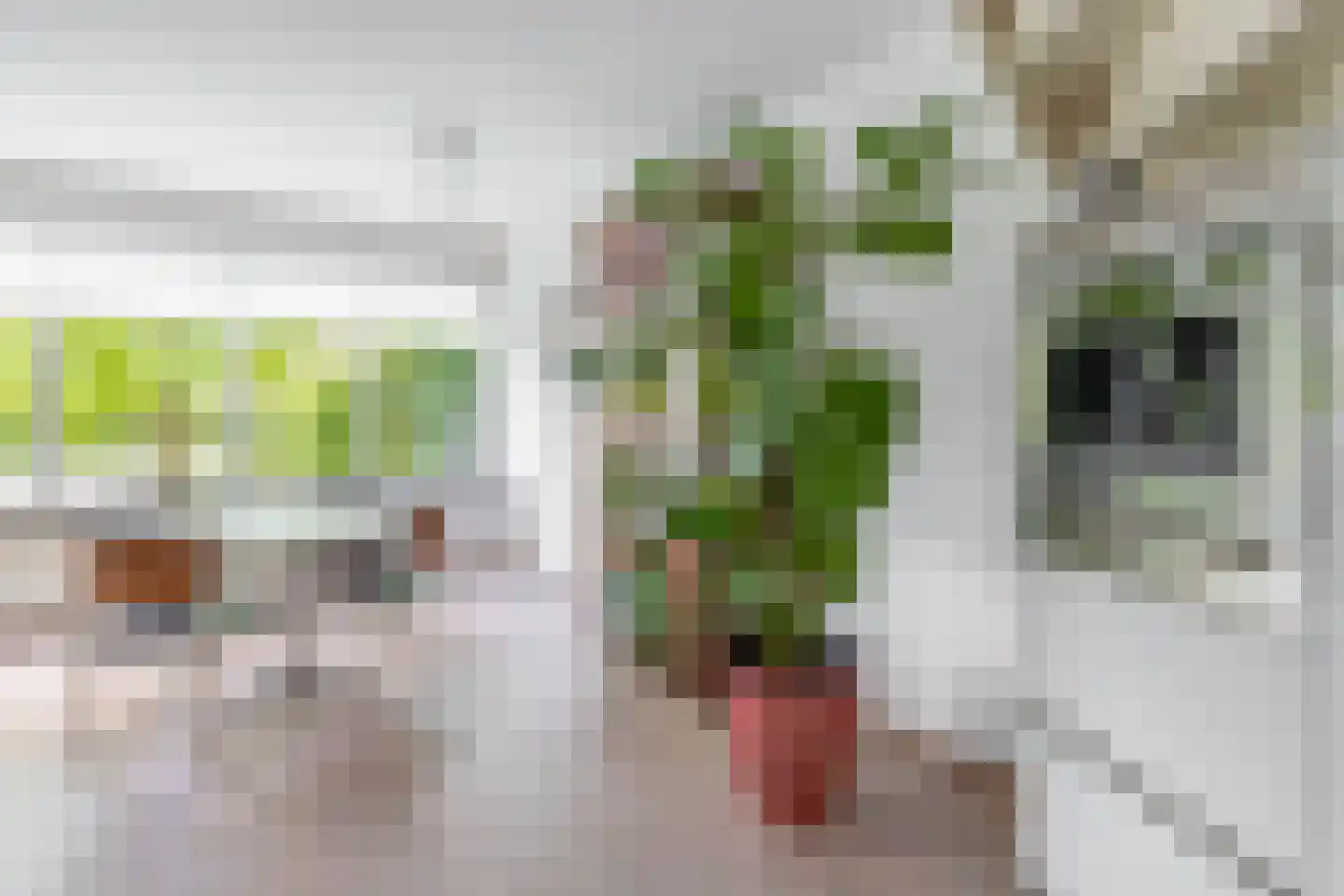 Waterschapsweg 15 Nieuwerkerk aan den IJssel thumbnail 25