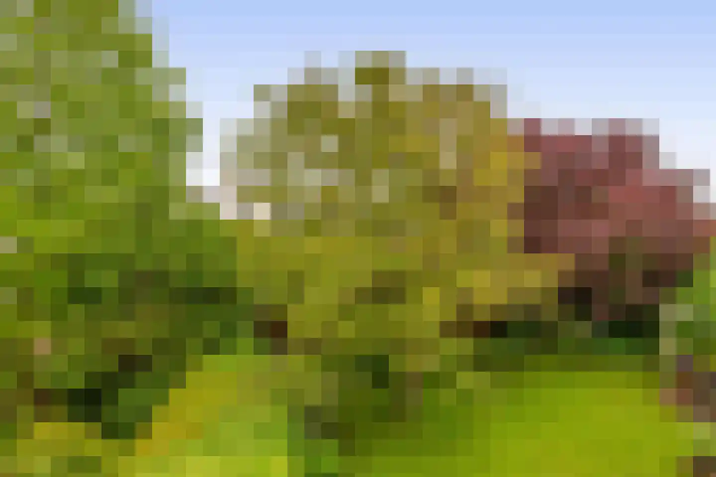 Waterschapsweg 15 Nieuwerkerk aan den IJssel thumbnail 51