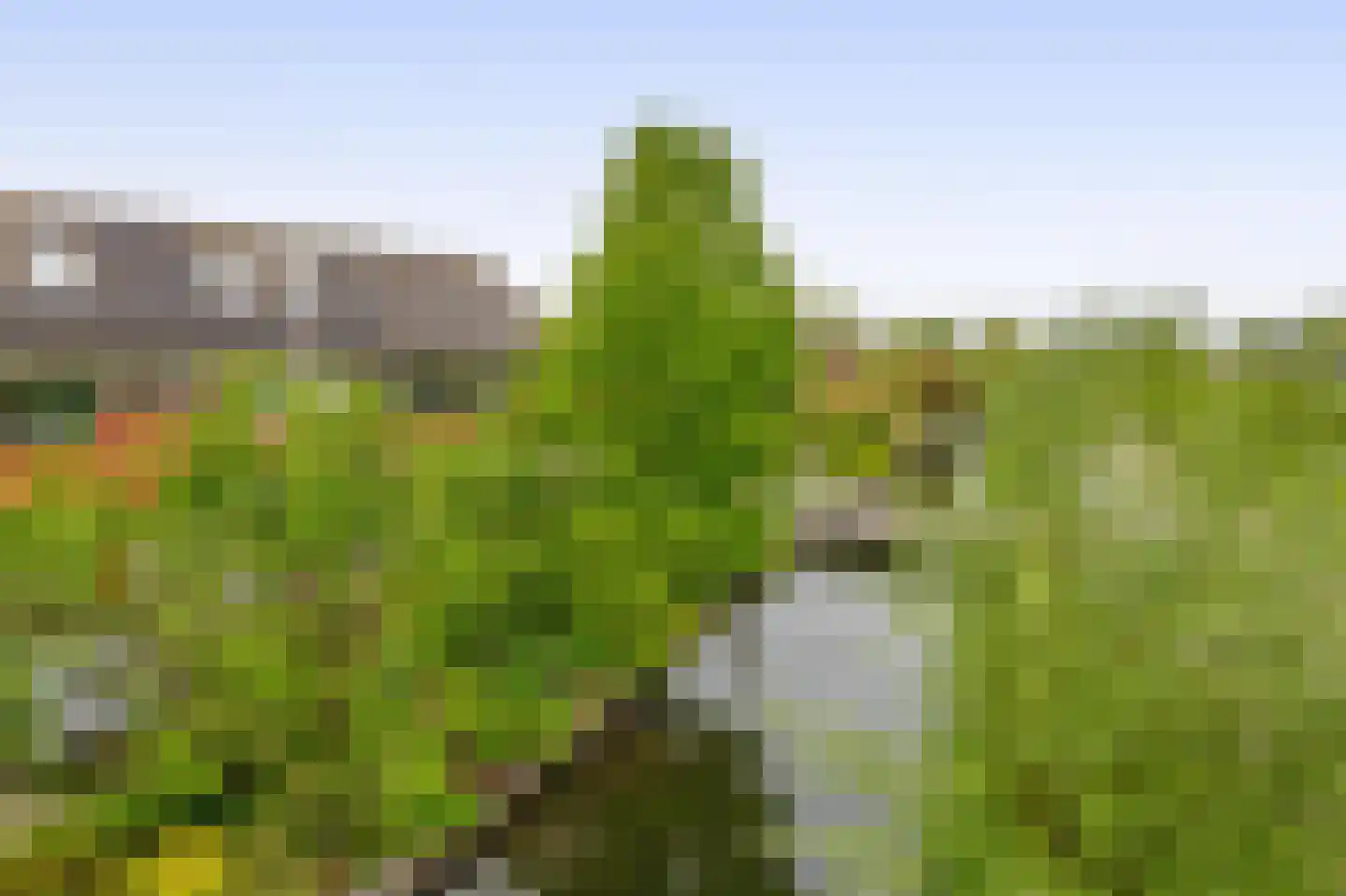 Waterschapsweg 15 Nieuwerkerk aan den IJssel thumbnail 56