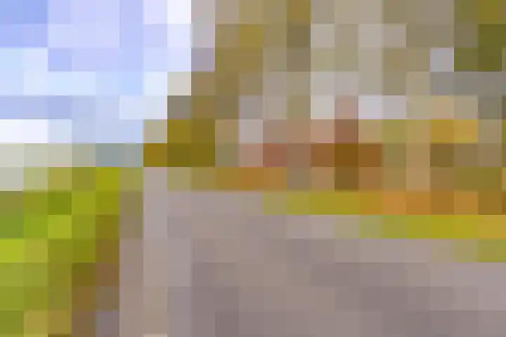 Waterschapsweg 34 Vledderveen thumbnail 11
