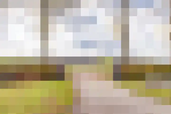 Waterschapsweg 34 Vledderveen thumbnail 12