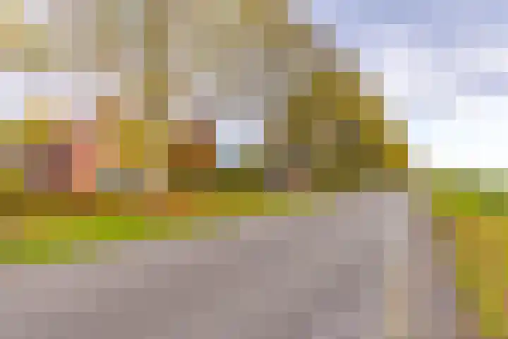 Waterschapsweg 34 Vledderveen thumbnail 13