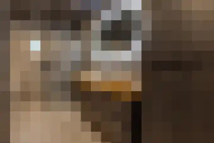 Waterschapsweg 34 Vledderveen thumbnail 30