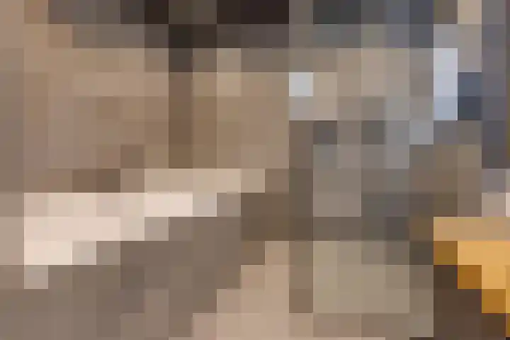 Waterschapsweg 34 Vledderveen thumbnail 31
