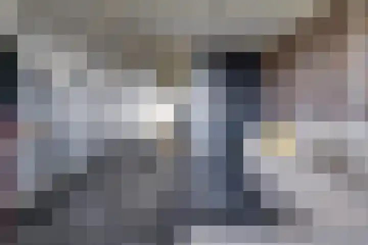 Waterschapsweg 34 Vledderveen thumbnail 36