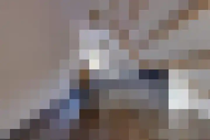 Waterschapsweg 34 Vledderveen thumbnail 39