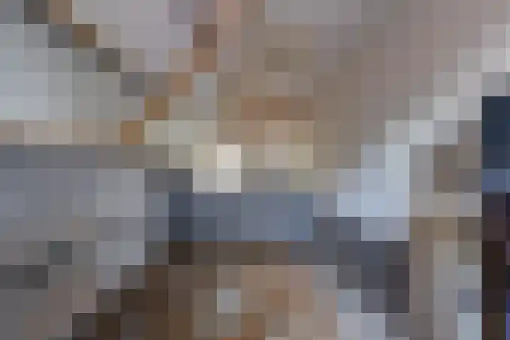Waterschapsweg 34 Vledderveen thumbnail 40