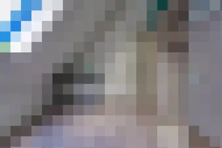 Waterschapsweg 34 Vledderveen thumbnail 43