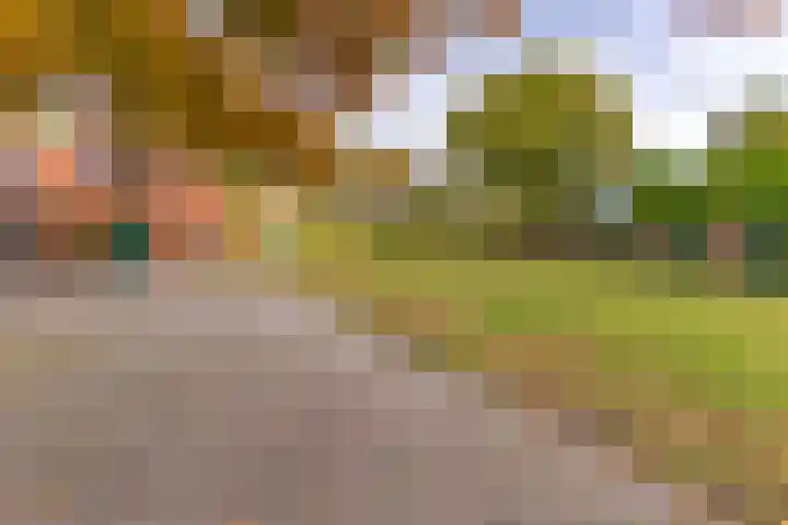 Waterschapsweg 34 Vledderveen thumbnail 46