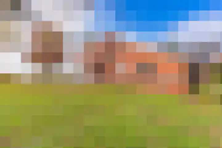 Waterschapsweg 34 Vledderveen thumbnail 49