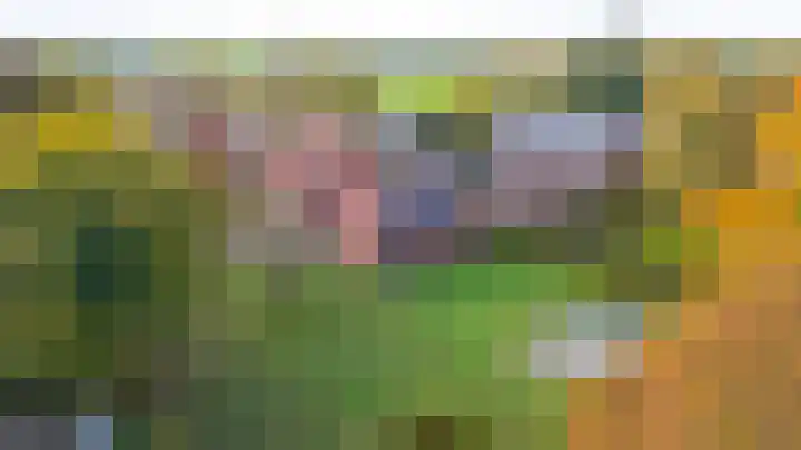 Waterschapsweg 34 Vledderveen thumbnail 5