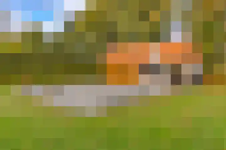 Waterschapsweg 34 Vledderveen thumbnail 50