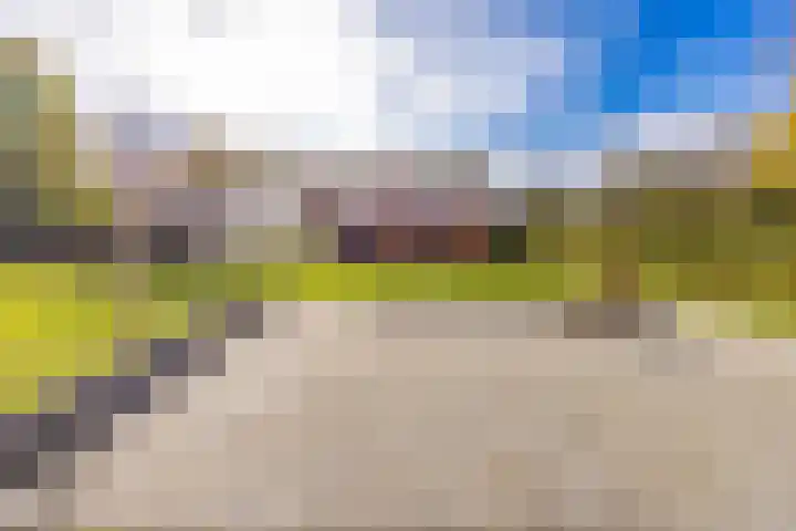 Waterschapsweg 34 Vledderveen thumbnail 55