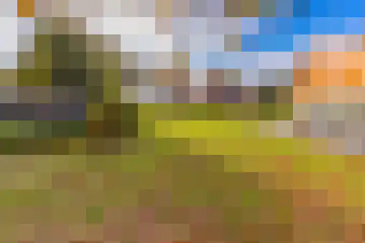 Waterschapsweg 34 Vledderveen thumbnail 56