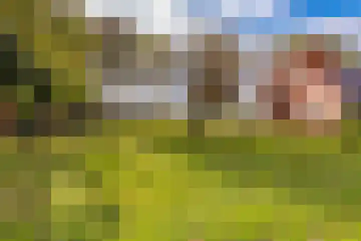 Waterschapsweg 34 Vledderveen thumbnail 58