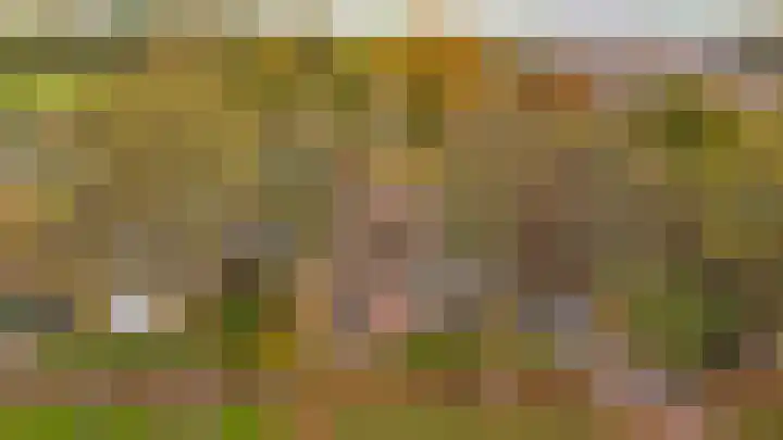 Waterschapsweg 34 Vledderveen thumbnail 6