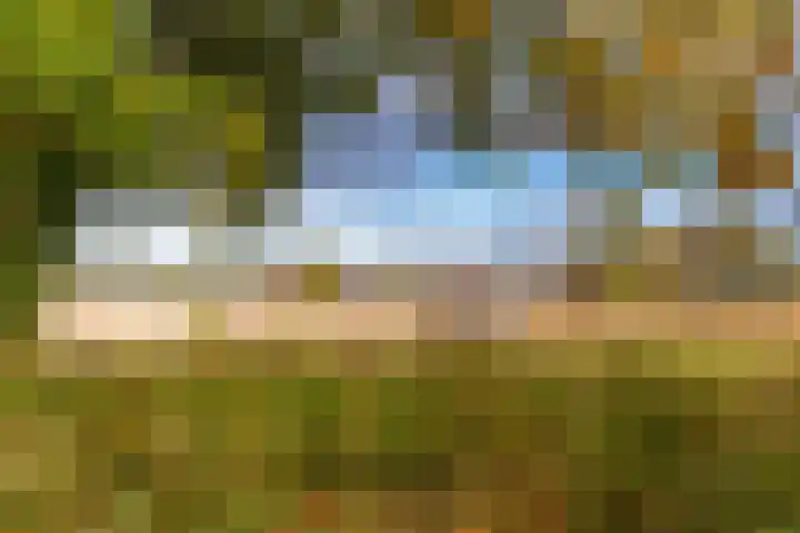 Waterschapsweg 34 Vledderveen thumbnail 60