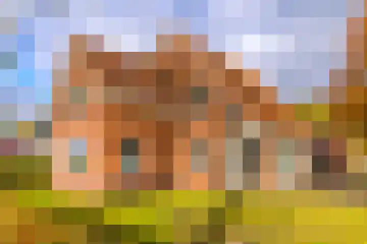 Waterschapsweg 34 Vledderveen thumbnail 7