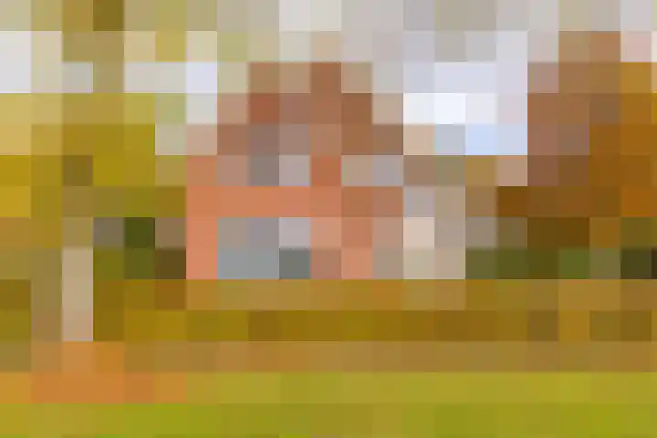 Waterschapsweg 34 Vledderveen thumbnail 8