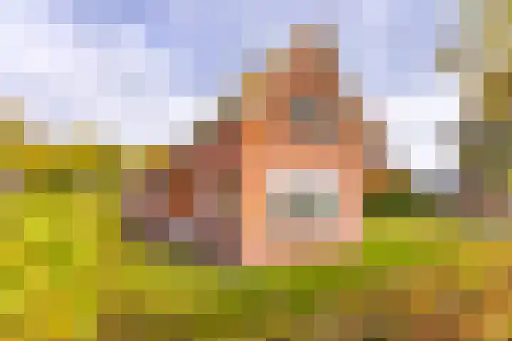 Waterschapsweg 34 Vledderveen thumbnail 9