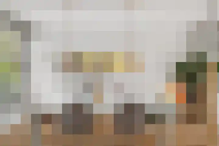 Waterschapsweg 4 Nieuwerkerk aan den IJssel thumbnail 10