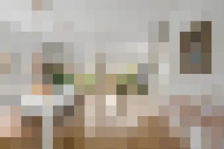 Waterschapsweg 4 Nieuwerkerk aan den IJssel thumbnail 11