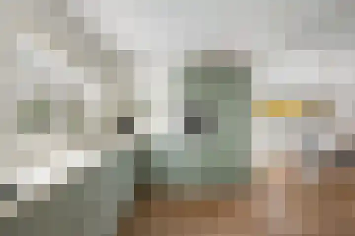 Waterschapsweg 4 Nieuwerkerk aan den IJssel thumbnail 14