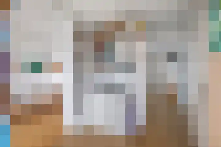 Waterschapsweg 4 Nieuwerkerk aan den IJssel thumbnail 20