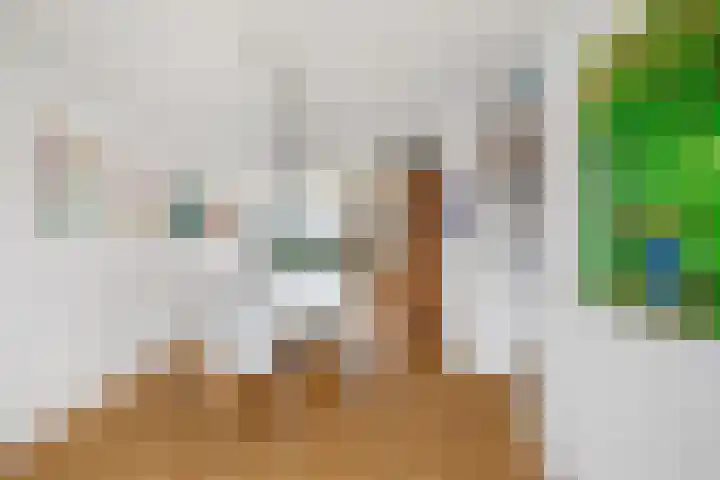 Waterschapsweg 4 Nieuwerkerk aan den IJssel thumbnail 21