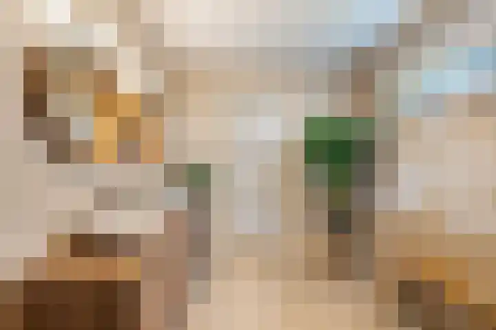 Waterschapsweg 4 Nieuwerkerk aan den IJssel thumbnail 25