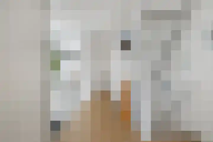 Waterschapsweg 4 Nieuwerkerk aan den IJssel thumbnail 27