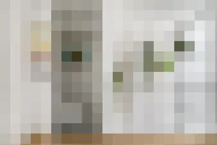 Waterschapsweg 4 Nieuwerkerk aan den IJssel thumbnail 28