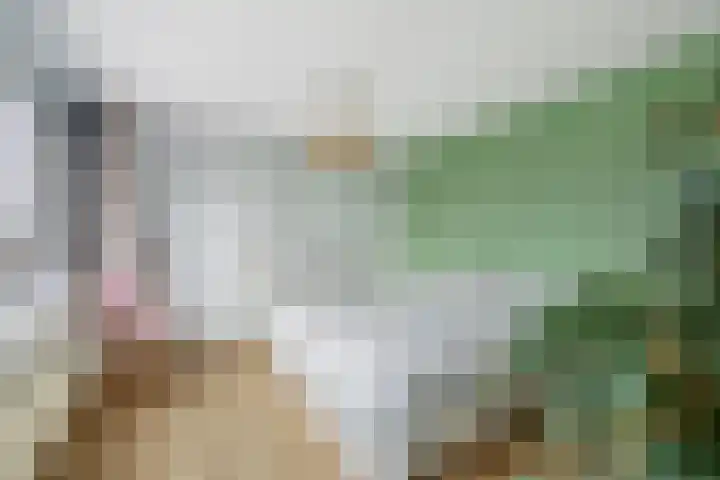Waterschapsweg 4 Nieuwerkerk aan den IJssel thumbnail 29