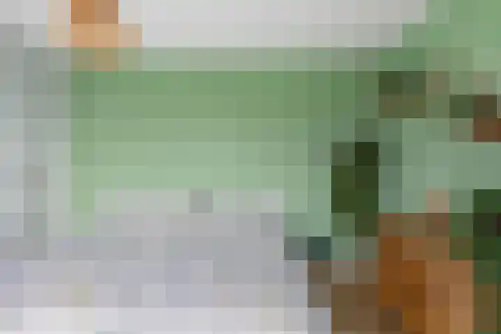Waterschapsweg 4 Nieuwerkerk aan den IJssel thumbnail 30