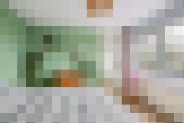 Waterschapsweg 4 Nieuwerkerk aan den IJssel thumbnail 31